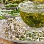 ماهي أهم فوائد شرب الشيح البلدي على الريق || تعرف عليها الان